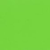 Zinxer paint Green Willow [AP64-4]