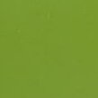 Zinxer paint Marsh Green [AP166-4]