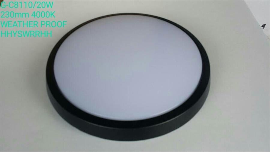 Round Ceiling Lights C-8001