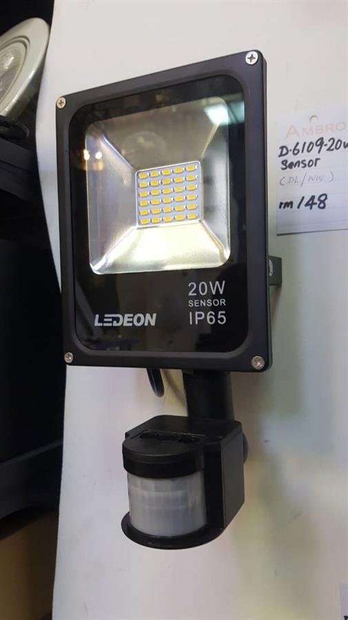Outdoor Sensor Flood Light - D-6109