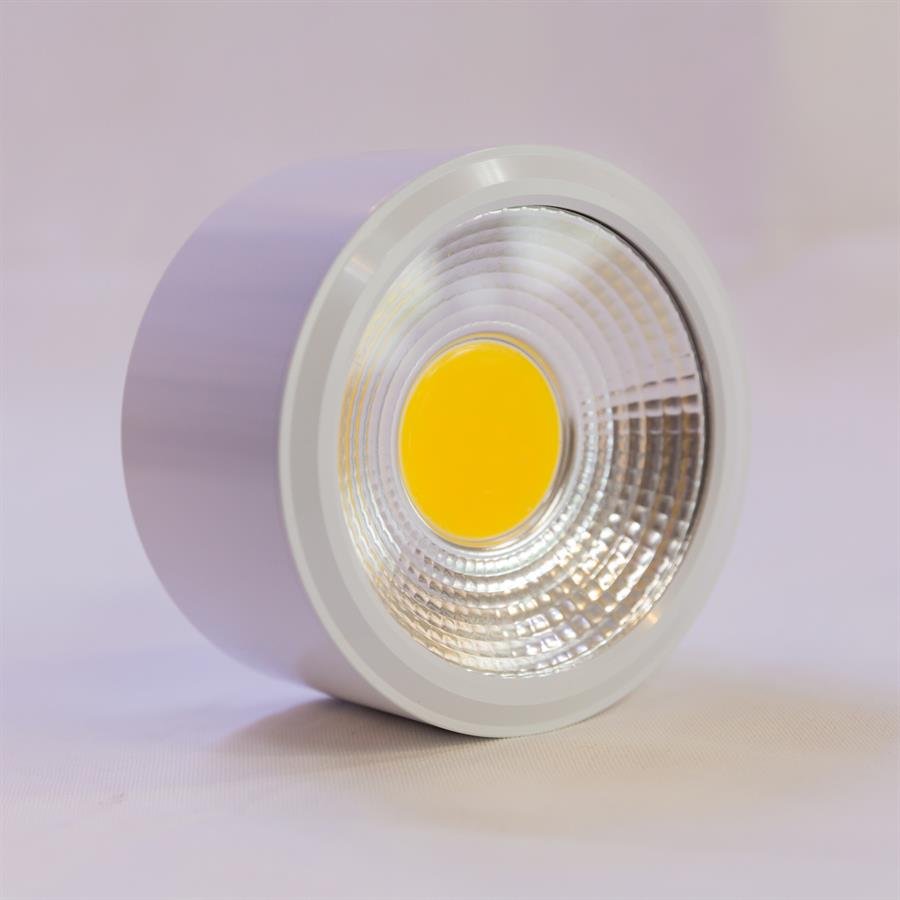 Premier LED Ceiling Light (White) [D689/10W]