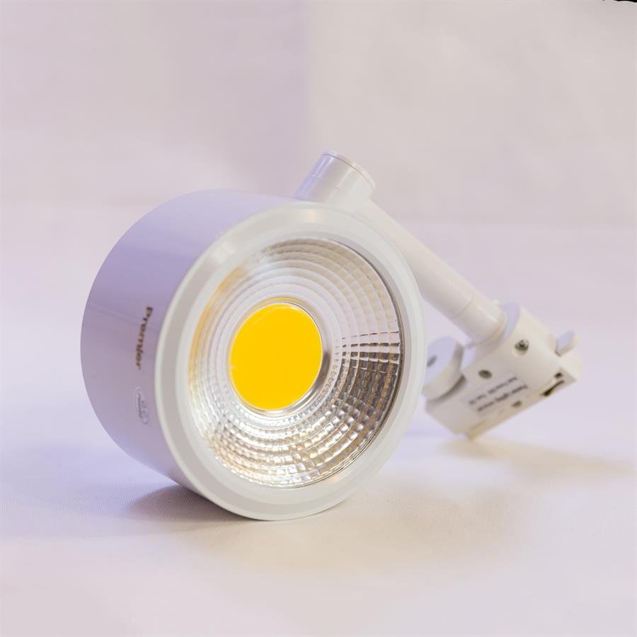 Premier LED Ceiling Light (White) [D684/10W/WW]