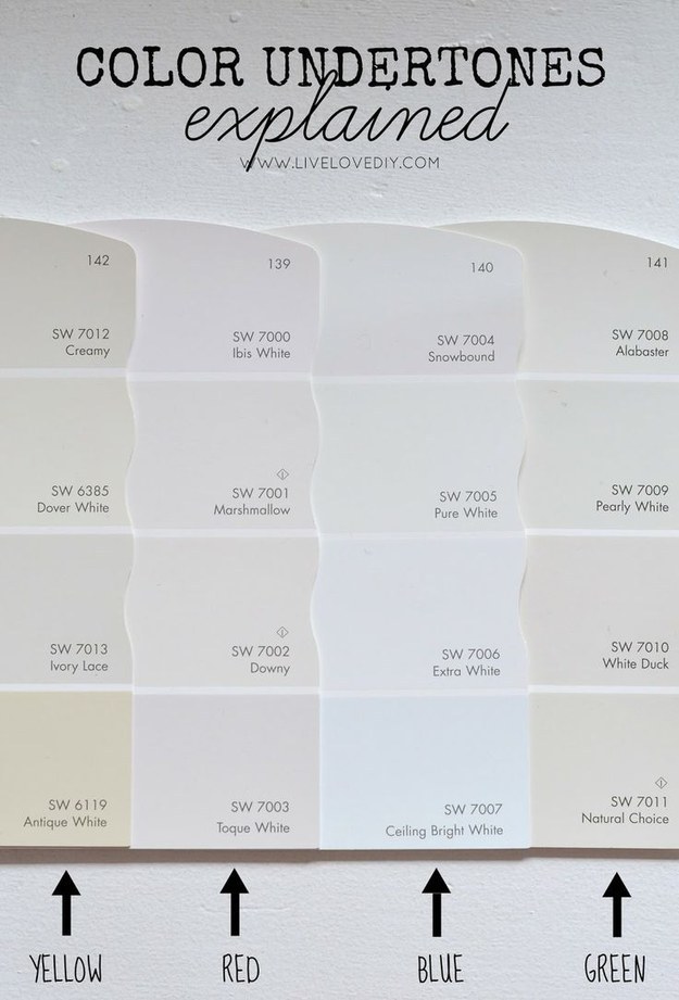 Color Undertone Guide