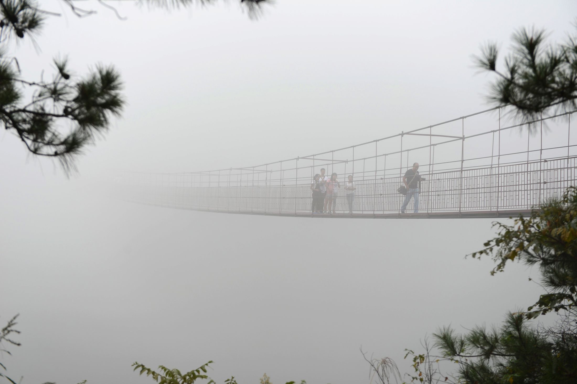 Building Materials Malaysia - Glass Bridge 11