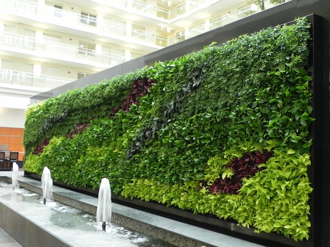 living wall 1