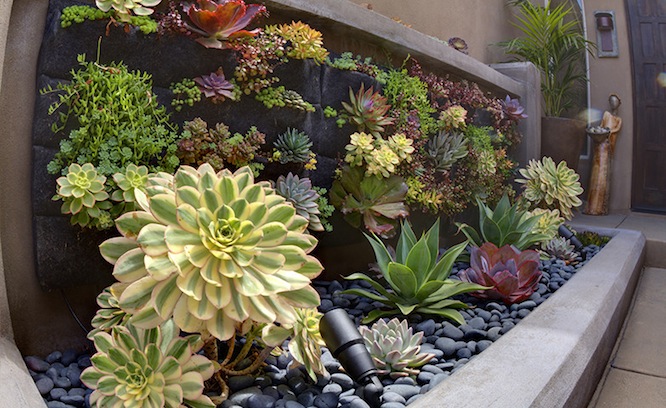 living wall 5