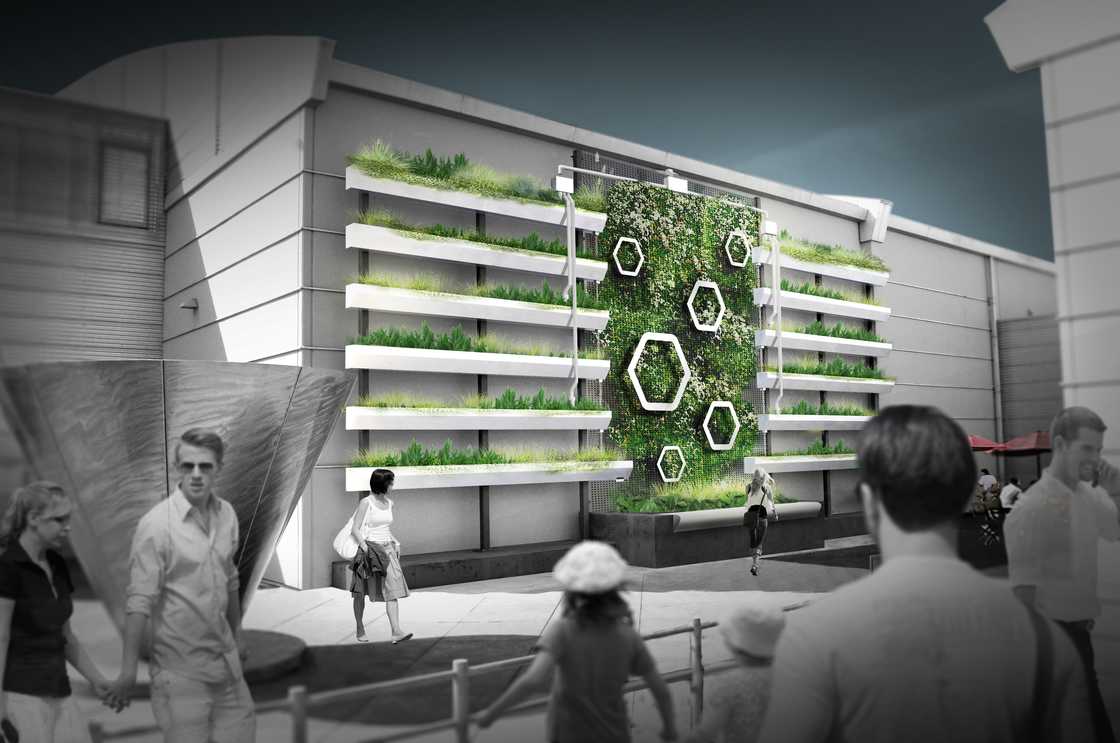 living wall 7