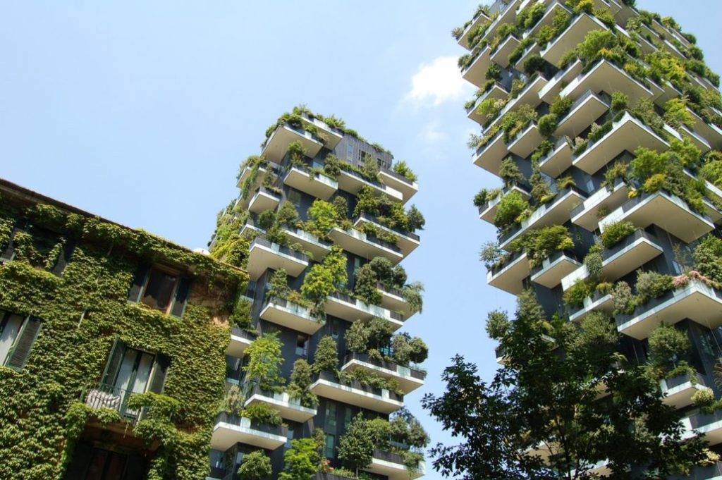 Green Materials in Modern Construction Trends green building